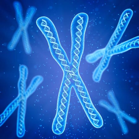 X chromosome reviewed by Dr. Josua Smith, the region's only pediatric endocrinologist in Idaho Falls and Pocatello.