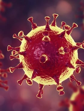COVID-19 virus as seen through a microscope.