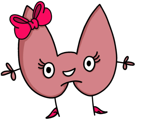 A thyroid graphic with a red bow representing a pediatric thyroid gland treated by Dr. Joshua Smith, a pediatric endocrinologist in Pocatello and Idaho Falls.