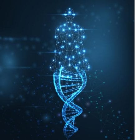 Genes making up a person in diagram, which reviewed by Dr. Josua Smith, the region's only pediatric endocrinologist in Idaho Falls and Pocatello.